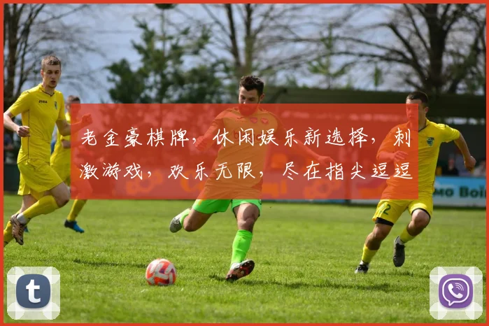 老金豪棋牌，休闲娱乐新选择，刺激游戏，欢乐无限，尽在指尖逗逗乐