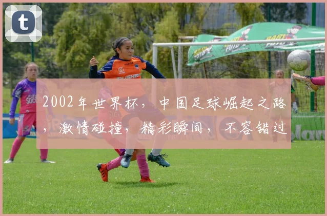 2002年世界杯，中国足球崛起之路，激情碰撞，精彩瞬间，不容错过，共鉴辉煌。