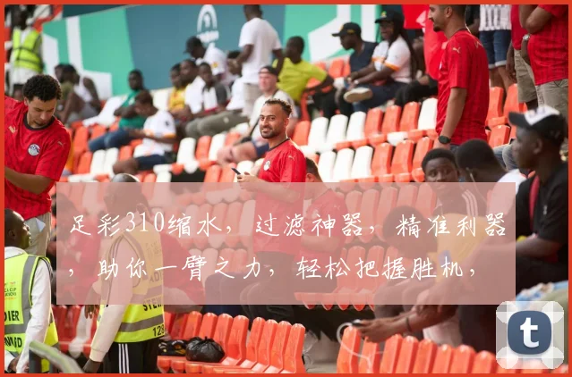 足彩310缩水，过滤神器，精准利器，助你一臂之力，轻松把握胜机，三步到位