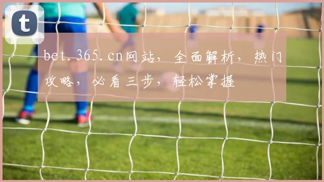 bet.365.cn网站，全面解析，热门攻略，必看三步，轻松掌握