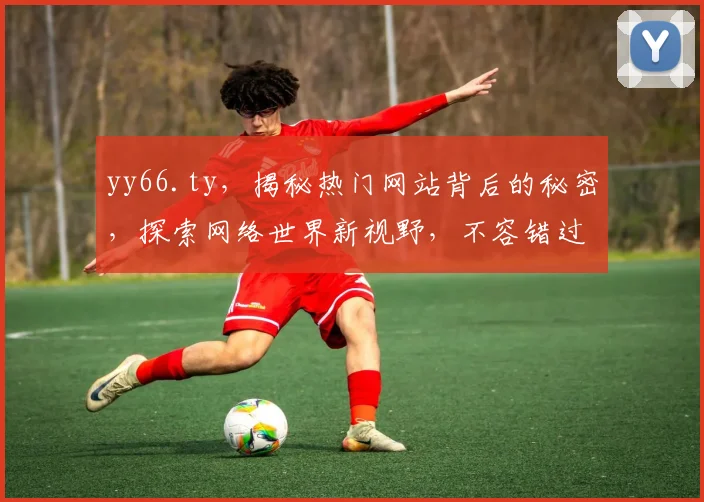 yy66.ty，揭秘热门网站背后的秘密，探索网络世界新视野，不容错过