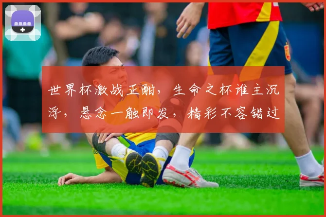 世界杯激战正酣，生命之杯谁主沉浮，悬念一触即发，精彩不容错过，敬请关注