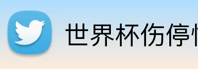 世界杯伤停情报 Logo